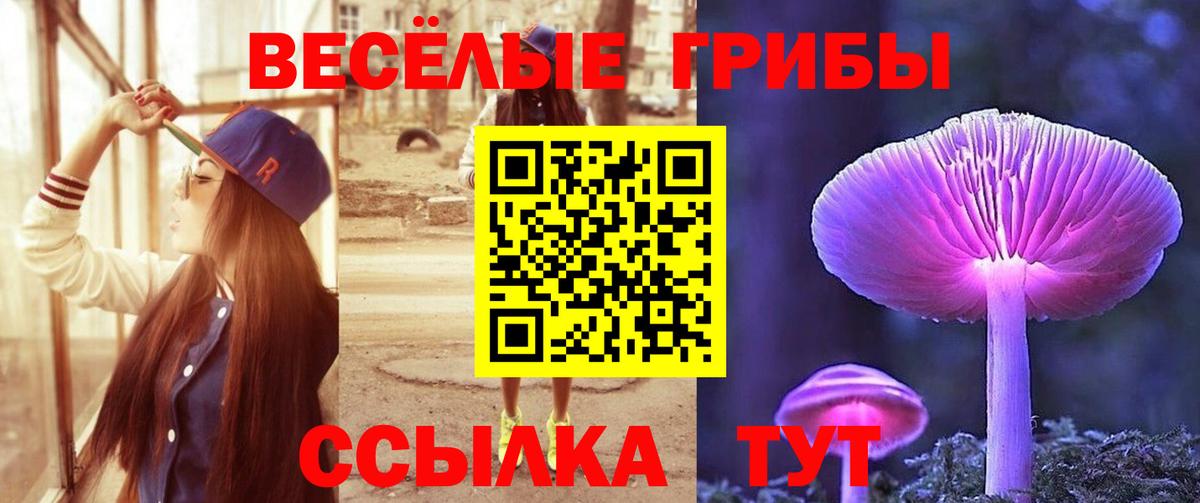 Псилоцибиновые грибы Psilocybine cubensis  Вход с VPN  Псилоцибиновые грибы мицелий  Рубцовск 